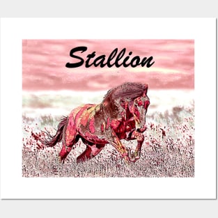 Stallion Posters and Art